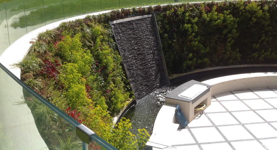 Green Wall in Garden